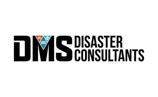 DMS Consulting