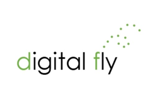 Digital Fly