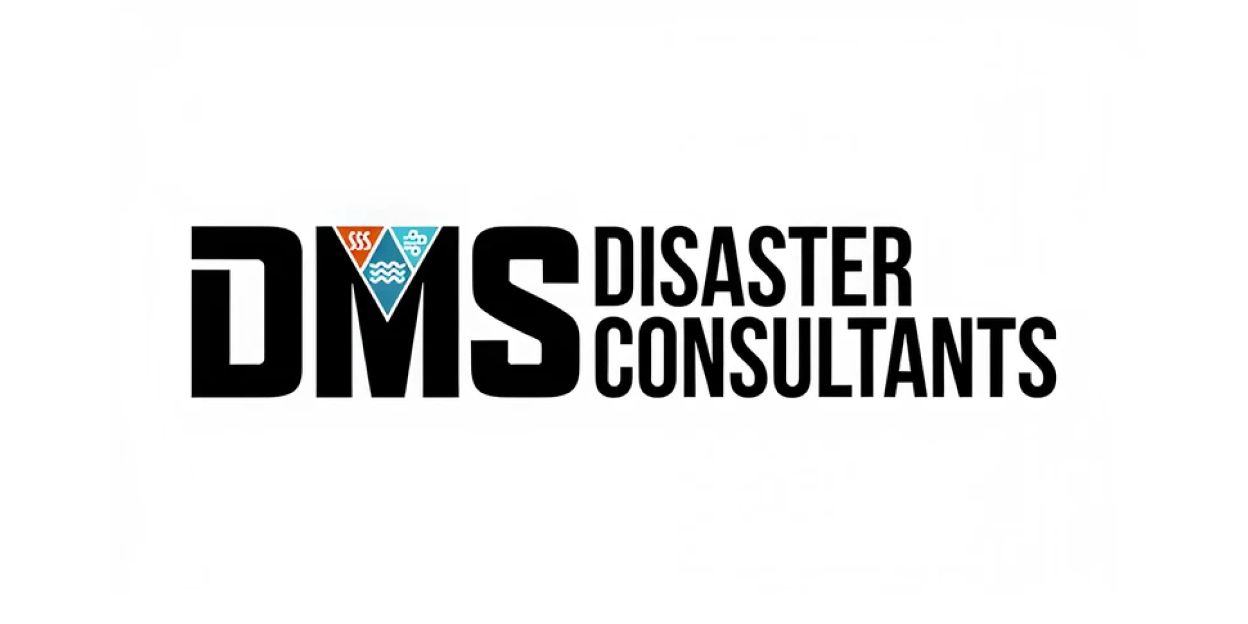 DMS Consulting